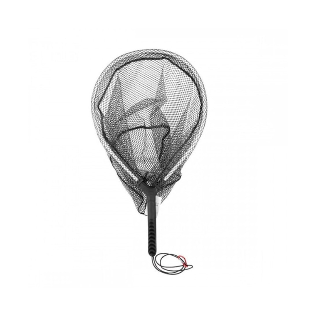 image_ce58eadc-d0c5-4354-823f-7eacad8fd953