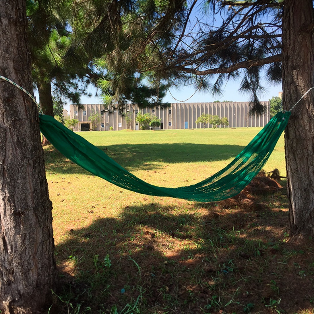 image_641e3861-afe7-4e45-b132-fbe949a7a4c8