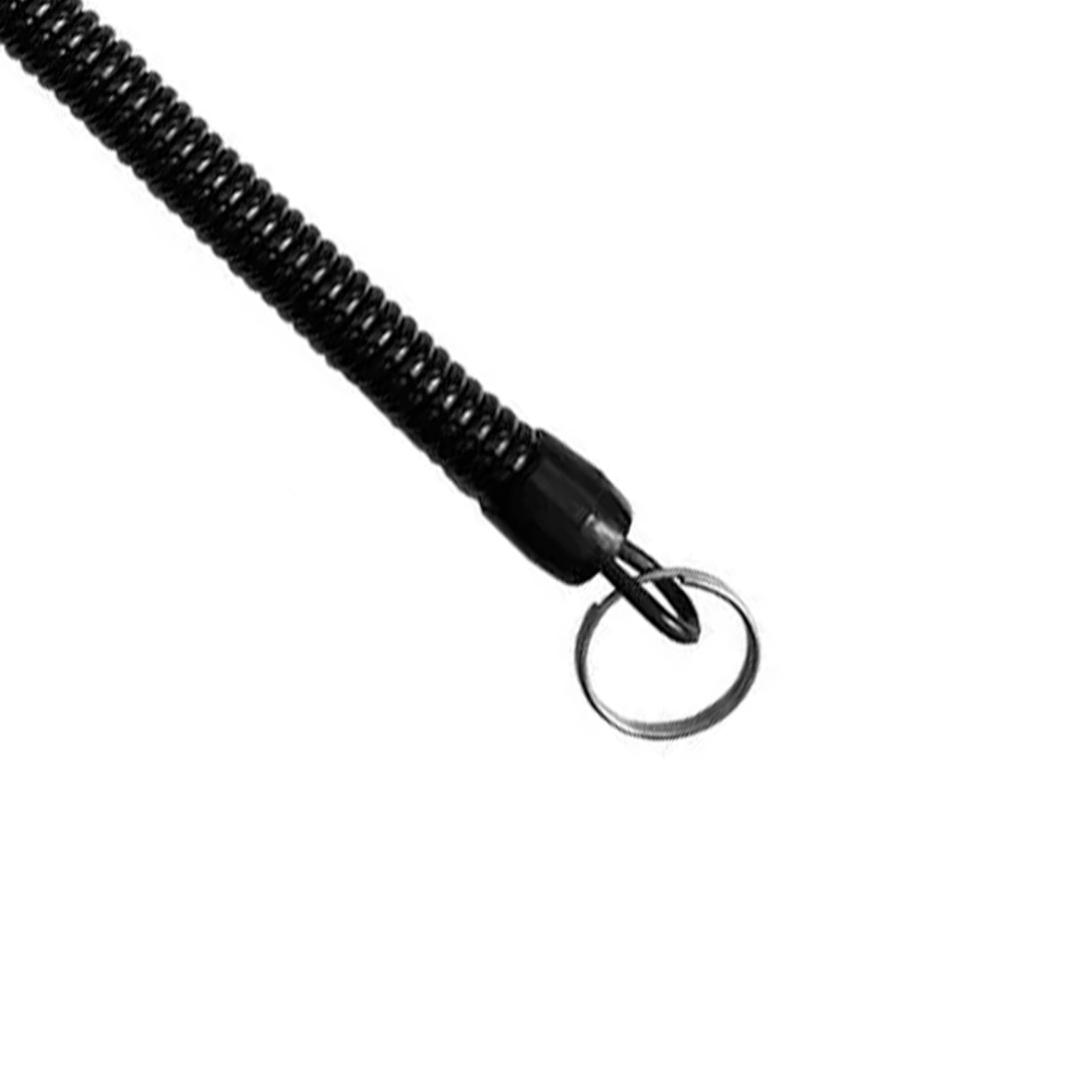 image_d0bfe18e-505b-4457-83be-f1e694752693