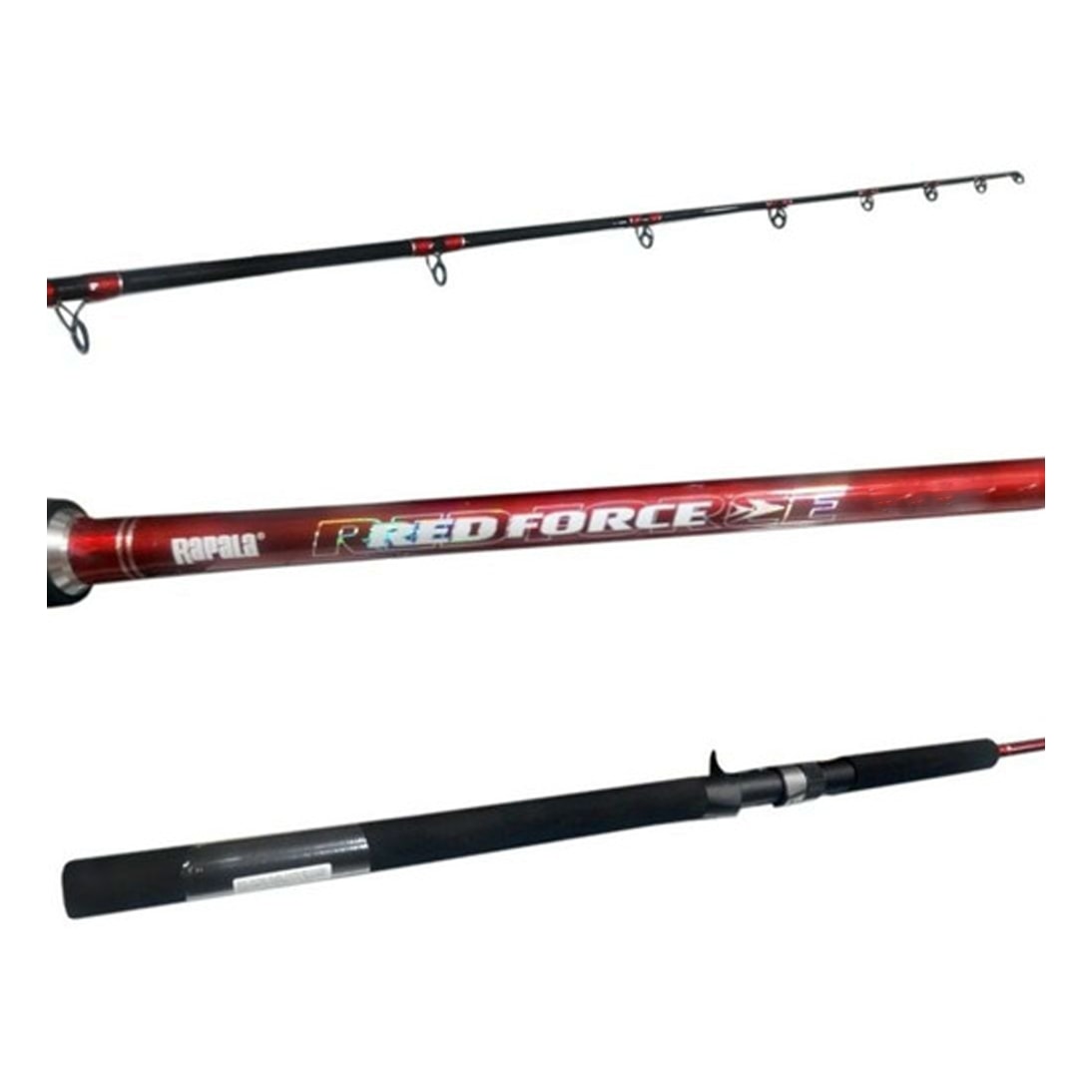 image_891e1199-ca6a-4b5d-b11a-07aca4712f5f